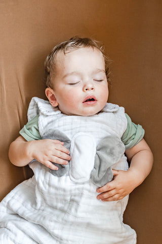 Toddler Walker Sleep Sack 12 Months +